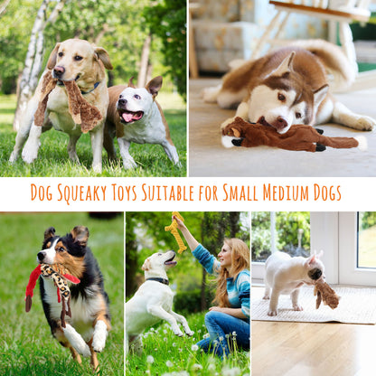 Set of 5 Squeaky Dog Toys for Small to Medium Breeds, No Stuffing Design