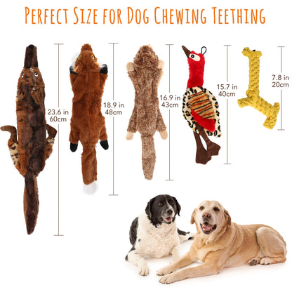 Set of 5 Squeaky Dog Toys for Small to Medium Breeds, No Stuffing Design