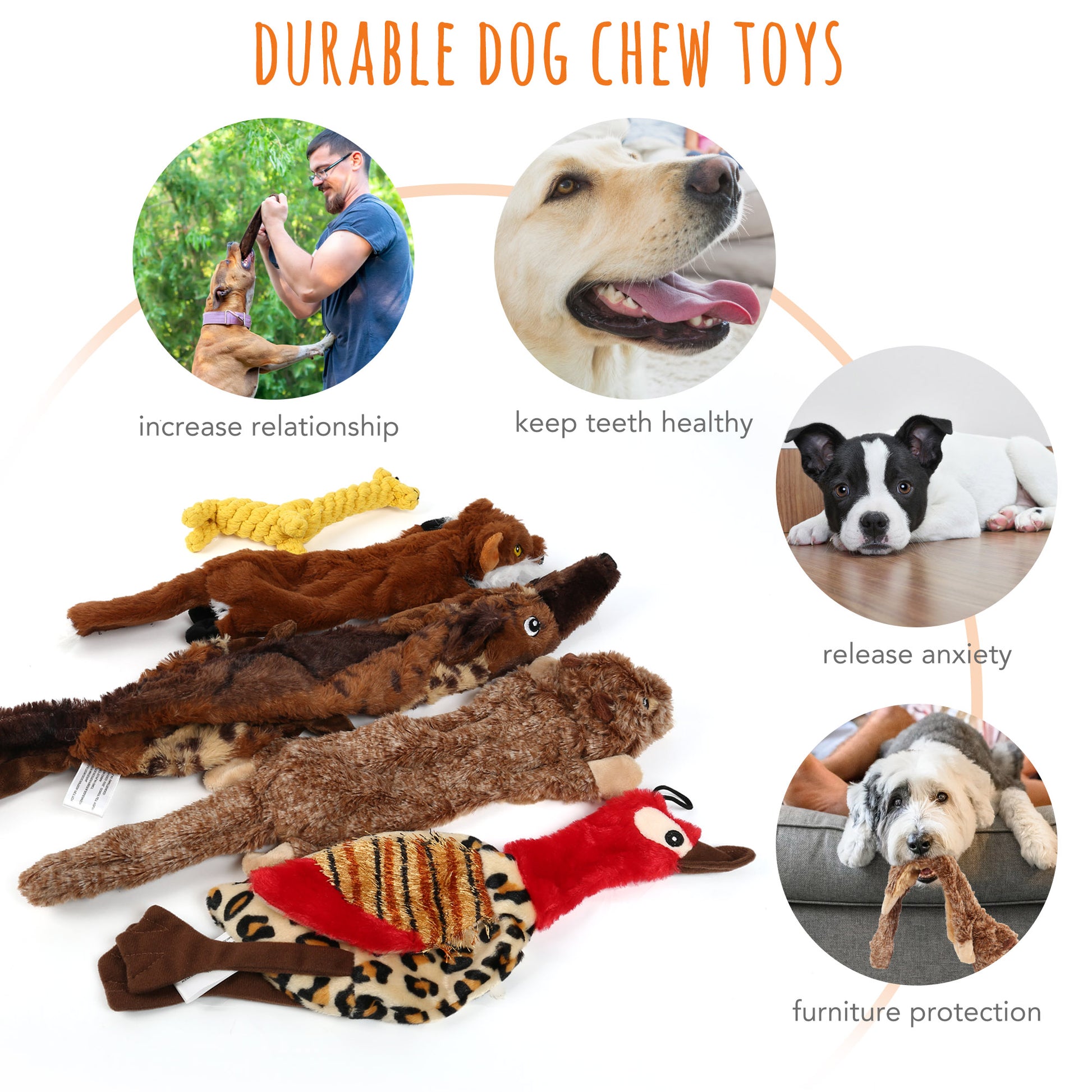 Set of 5 Squeaky Dog Toys for Small to Medium Breeds, No Stuffing Design