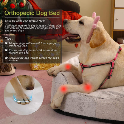 Size Adjustable Orthopedic Dog Bed with CertiPUR-US Foam, Waterproof Removable Cover, and Three Side Bolsters for Large, Medium, and Jumbo Dogs