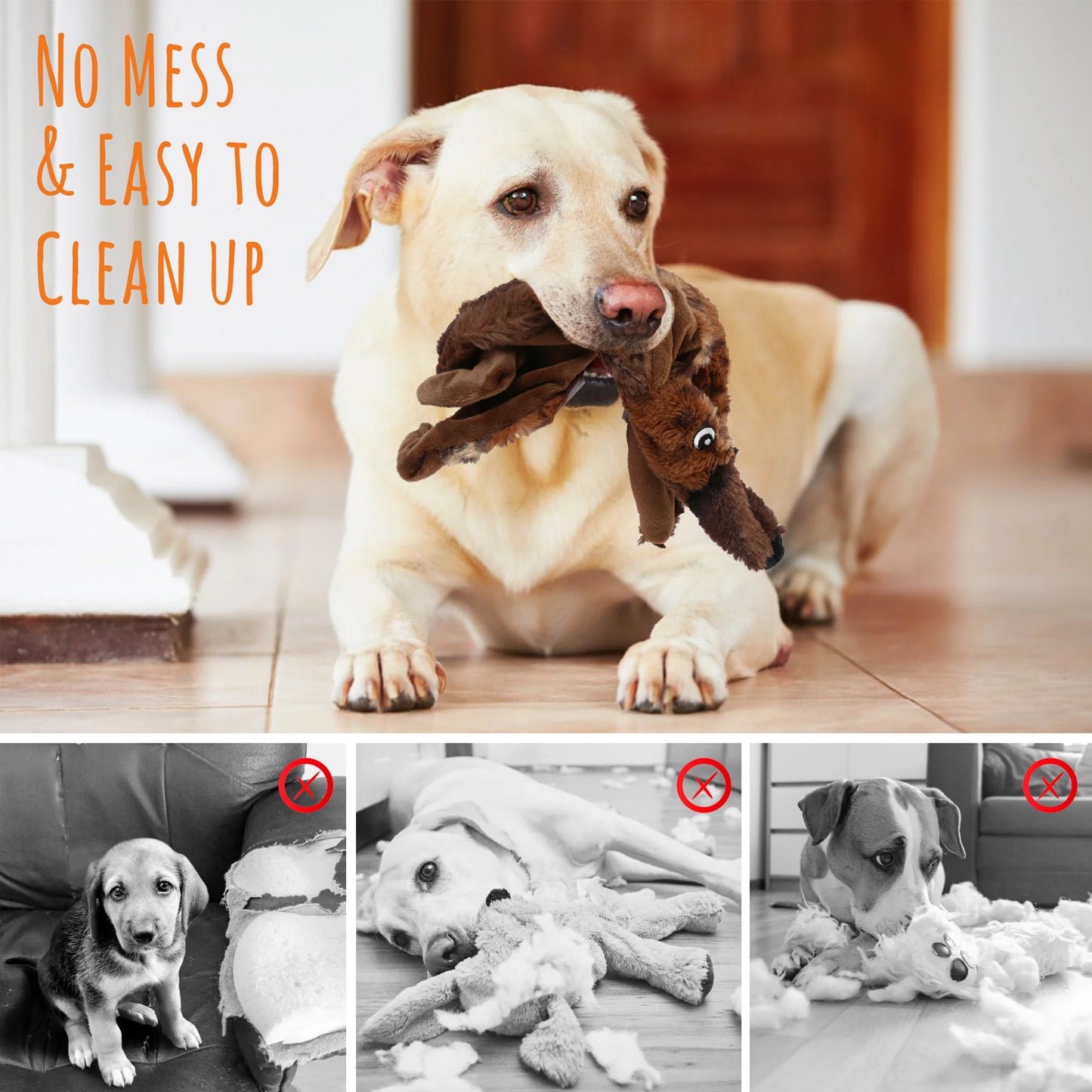 Set of 5 Squeaky Dog Toys for Small to Medium Breeds, No Stuffing Design