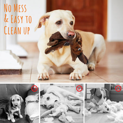 Set of 5 Squeaky Dog Toys for Small to Medium Breeds, No Stuffing Design